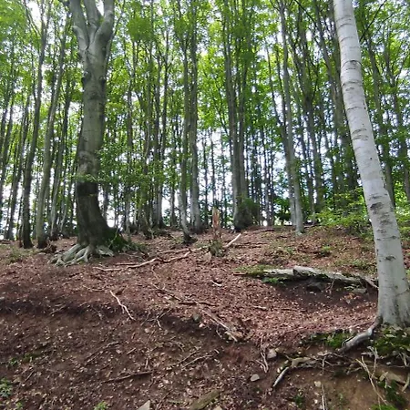 Horsky Komarka Teplice
